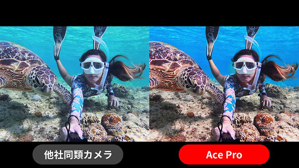 本製品を使用した画像と他社同類カメラを使用した画像を比較した画像