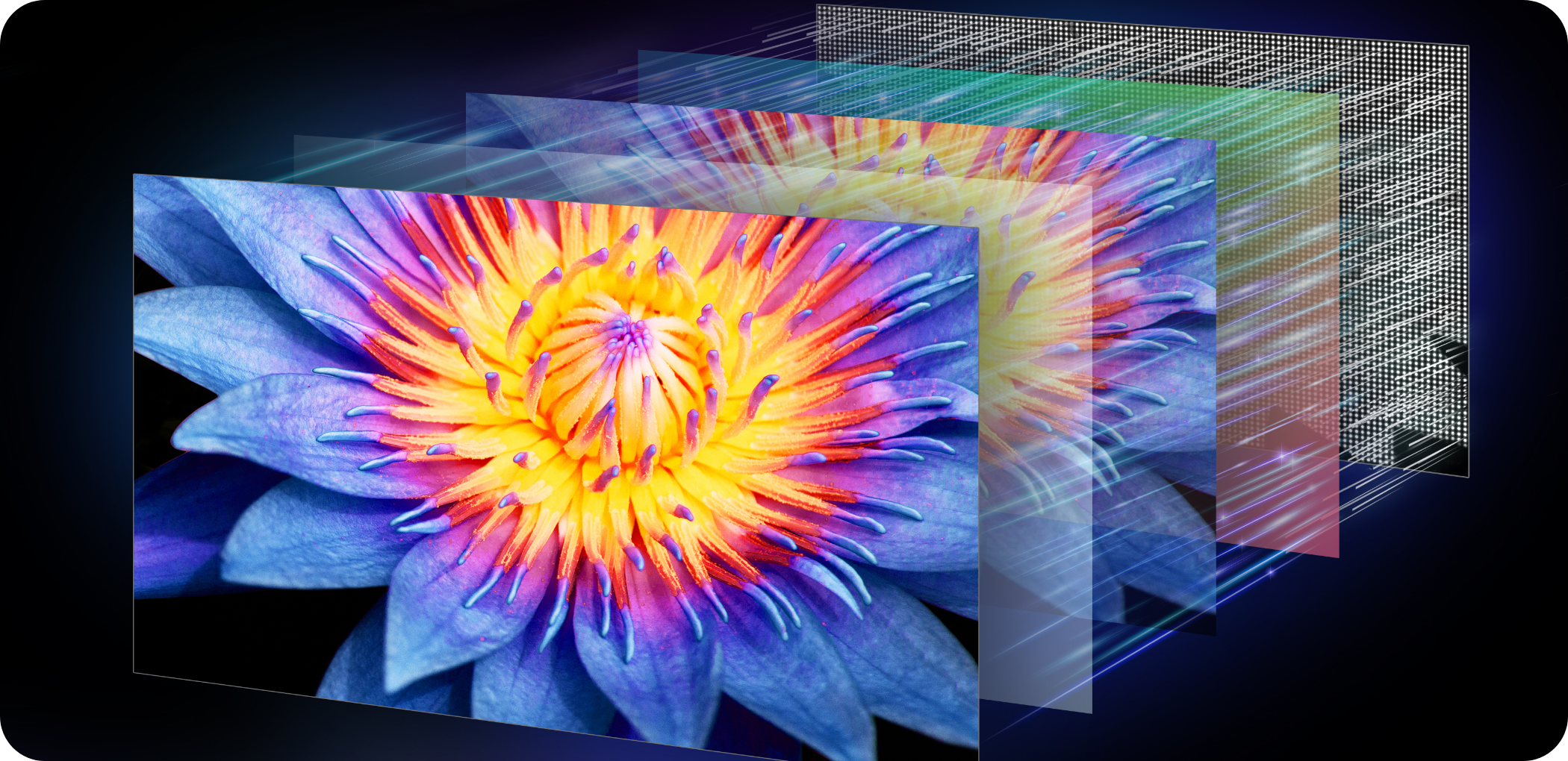 ダイナミックXディスプレイ