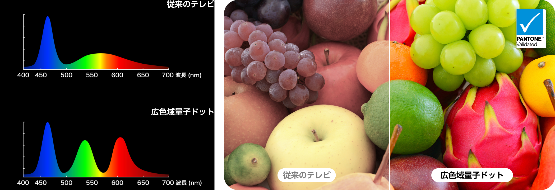 従来のテレビと広色域量子ドットの比較