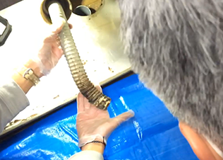 洗浄箇所の確認