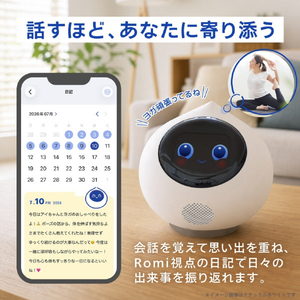 MIXI 月会費3カ月付きRomi Lacatanモデル ムーングレー RLM2MG-イメージ3