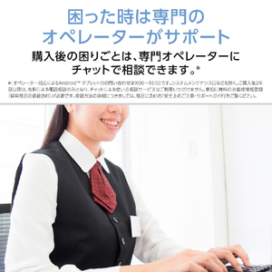 NEC 11型Androidタブレット LAVIE Tab T11N サンドローズ PC-T1175MAC-イメージ13