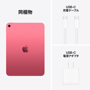Apple 11インチiPad Wi-Fiモデル 256GB ピンク MD4P4J/A-イメージ8