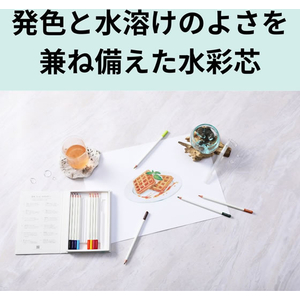 トンボ鉛筆 水彩色鉛筆 色辞典 24色セット FCJ009V-CI-KW24C-イメージ5