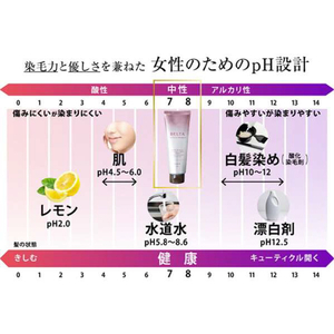 BELTA ヘアカラートリートメント(200g) ブラウン BELTA-4573206310311-イメージ5