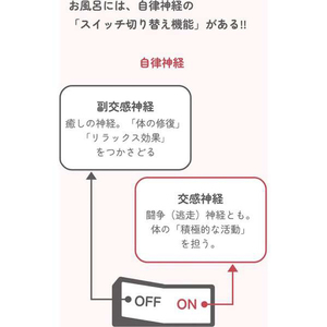 BELTA きざみ本薬湯(1包) BELTA-4573206310663-イメージ5