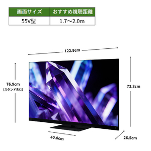 TVS REGZA 4K Mini LED液晶テレビ 55Z890S-イメージ3