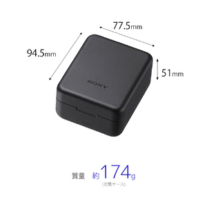 SONY ワイヤレスマイクロホン ECM-W5-イメージ3