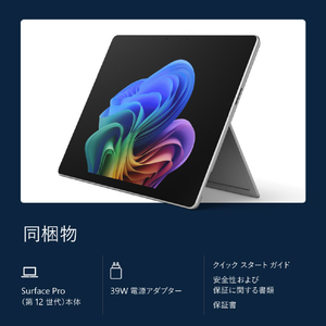 マイクロソフト Surface Pro(第 12 世代)13インチ Snapdragon  X2 Plus/24/512 プラチナ EP2-73320-イメージ17