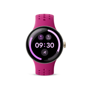 Google Google Pixel Watch(41 mm)用 アクティブ スポーツ バンド Lサイズ Hibiscus GA11684-WW-イメージ3