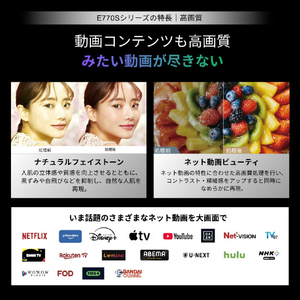 TVS REGZA 4K Mini LED液晶テレビ 55E770S-イメージ5