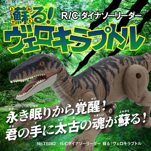 京商 R/C ダイナソーリーダー 蘇る!ヴェロキラプトル ヴェロキラプトル RCﾀﾞｲﾅｿ-ﾘ-ﾀﾞ-ｳﾞｴﾛｷﾗﾌﾟﾄﾙ-イメージ4