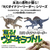 京商 R/C ダイナソーリーダー 蘇る!ヴェロキラプトル ヴェロキラプトル RCﾀﾞｲﾅｿ-ﾘ-ﾀﾞ-ｳﾞｴﾛｷﾗﾌﾟﾄﾙ-イメージ6