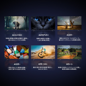 TCL 55V型4Kチューナー内蔵4K対応液晶テレビ P8Kシリーズ 55P8K-イメージ9