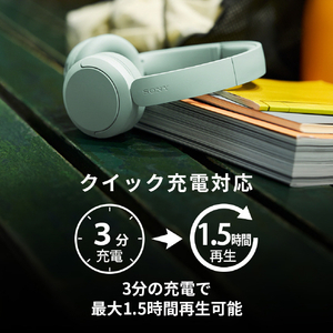 SONY ワイヤレスステレオヘッドセット ホワイト WH-CH530 W-イメージ11