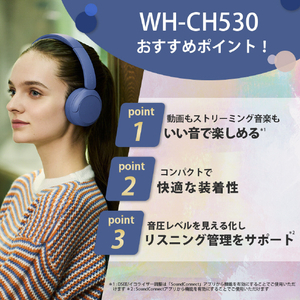 SONY ワイヤレスステレオヘッドセット ホワイト WH-CH530 W-イメージ3