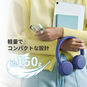 SONY ワイヤレスステレオヘッドセット ホワイト WH-CH530 W-イメージ8