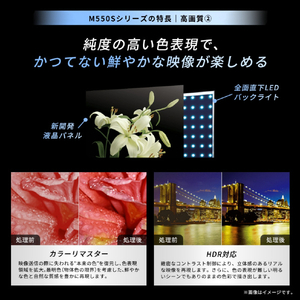 TVS REGZA 4K 液晶REGZA 50M550S-イメージ4
