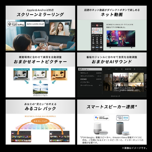 TVS REGZA 65V型4Kチューナー内蔵4K対応液晶テレビ 65E350S-イメージ8