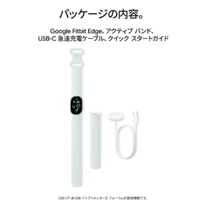 Fitbit Google Fitbit Edge Matte Black アルミケース / Obsidian アクティブ バンド GA11583-AU-イメージ12
