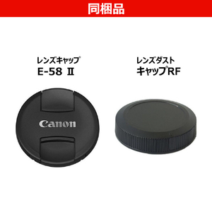 キヤノン 広角ズームレンズ RF-S14-30mm F4-6.3 IS STM PZ RFS1430ISSTMPZ-イメージ6