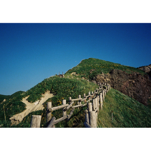 KODAK KODAK 35mmフィルムカメラ EC35 ラベンダー EC35RK0704ﾗﾍﾞﾝﾀﾞ--イメージ7