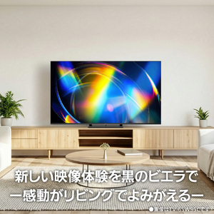 パナソニック 75型 4K対応液晶テレビ VIERA TV-75W95C-イメージ19