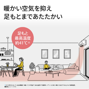 シャープ 「工事代金別」 10畳 フィルター自動清掃 省エネハイパワーエアコン e angle select プラズマクラスターエアコン Rシリーズ AY-28RLE6S-イメージ11