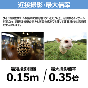 キヤノン RF7-14mm F2．8-3．5 L FISHEYE STM RFレンズ RF714LFESTM-イメージ10