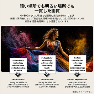 LGエレクトロニクス 65V型4Kチューナー内蔵4K対応有機ELテレビ OLED65C6PJA-イメージ2