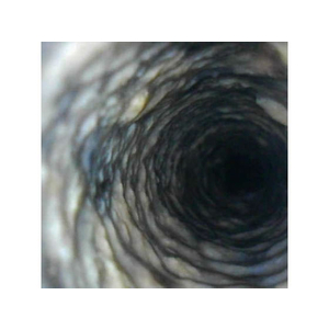 アズマ工業 アズマジック 排水パイプ洗浄剤 50g×4包入CH850 FC021PT-CH850-イメージ3