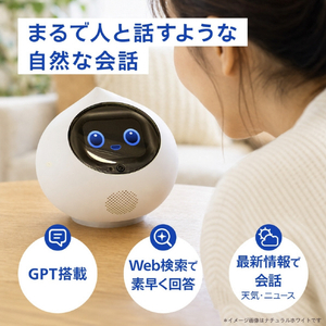 MIXI 月会費3カ月付きRomi Lacatanモデル サクラピンク RLM2SP-イメージ2