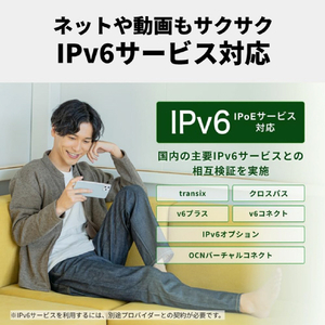 バッファロー 無線LAN親機 11ac/n/a/g/b 866+300Mbps ブラック WCR-1166DHPL-イメージ6