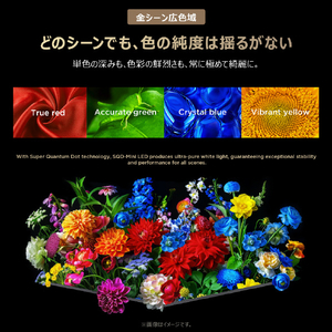 TCL 65V型4Kチューナー内蔵4K対応液晶テレビ 65C8L-イメージ16