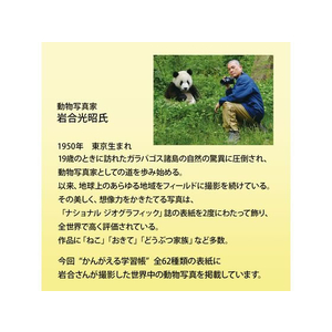 キョクトウ かんがえる学習帳 作文(200字詰) B5 F028425-L771-イメージ7