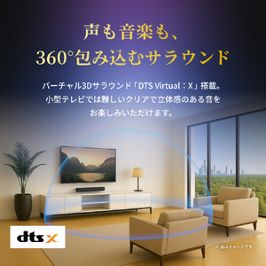 TVS REGZA REGZAサウンドシステム RA-B100-イメージ6