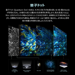 TCL 55インチ4K Mini LED液晶テレビ e angle select 55G99L-JP-イメージ10