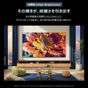 TCL 55インチ4K Mini LED液晶テレビ e angle select 55G99L-JP-イメージ14