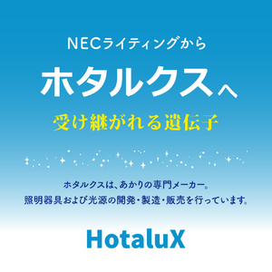 HotaluX LEDシーリングライト HLDC06401SG-イメージ4