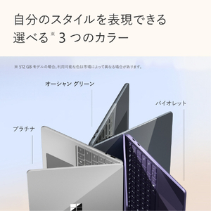 マイクロソフト Surface Laptop 13 インチ(Snapdragon X Plus/16GB/512GB) Surface Laptop プラチナ EP2-31937-イメージ9
