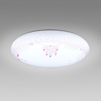 HotaluX LEDシーリングライト HLDZ06424SG