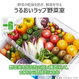 東芝 【右開き】411L 5ドア冷凍冷蔵庫 VEGETA グランホワイト GR-A41GXH(EW)-イメージ4
