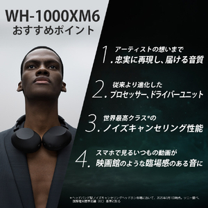 SONY ワイヤレスノイズキャンセリングステレオヘッドセット サンドピンク WH1000XM6 P-イメージ2