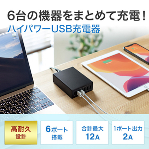 サンワサプライ USB充電器(6ポート・合計12A) ブラック ACA-IP67BK-イメージ4