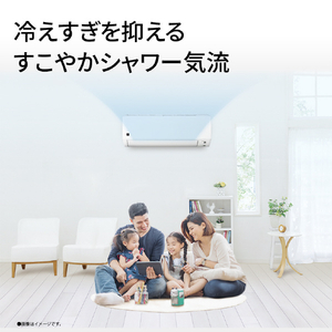 シャープ 「工事代金別」 10畳 エアコン プラズマクラスターエアコン DGシリーズ AY-U28DGS-イメージ5