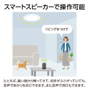 パナソニック ～8畳用 LEDシーリングライト パルックLED HH-XCK0860A-イメージ14