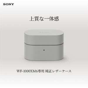 SONY ヘッドフォンアクセサリー WF-1000XM6専用ケースカバー ライトグレー HAC1000XM6CH-イメージ2
