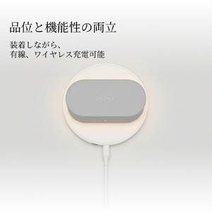 SONY ヘッドフォンアクセサリー WF-1000XM6専用ケースカバー ライトグレー HAC1000XM6CH-イメージ4