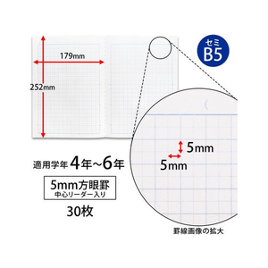 キョクトウ スクールノート B5 5mm方眼 チェック柄ピンク ピンク1冊 F887828-LMC5GP-イメージ2