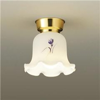 ダイコウデンキ LED小型シーリングライト DXL-81112